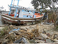 �����ꂽ�D���Ƃɓ˂��h�����Ă���B�p���K�[���N���u���S�i���P����(1/3�B�e)